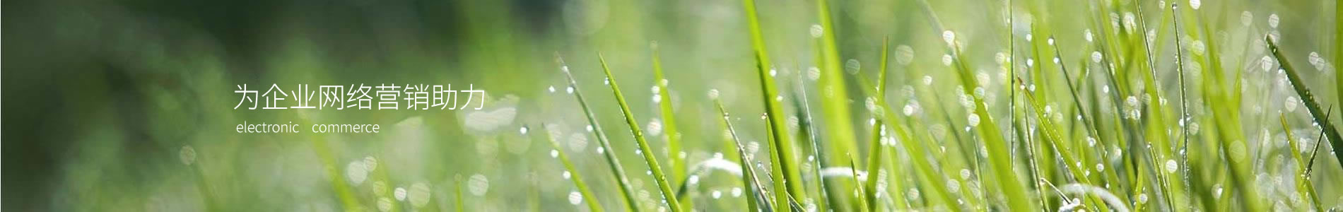 Ȼ²ϿƼ޹˾